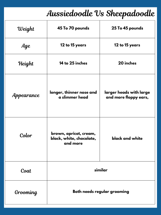 AUSSIEDOODLE VS SHEEPADOODLE: Guide to Poodle Hybrids for Your Family 1 AUSSIEDOODLE VS SHEEPADOODLE